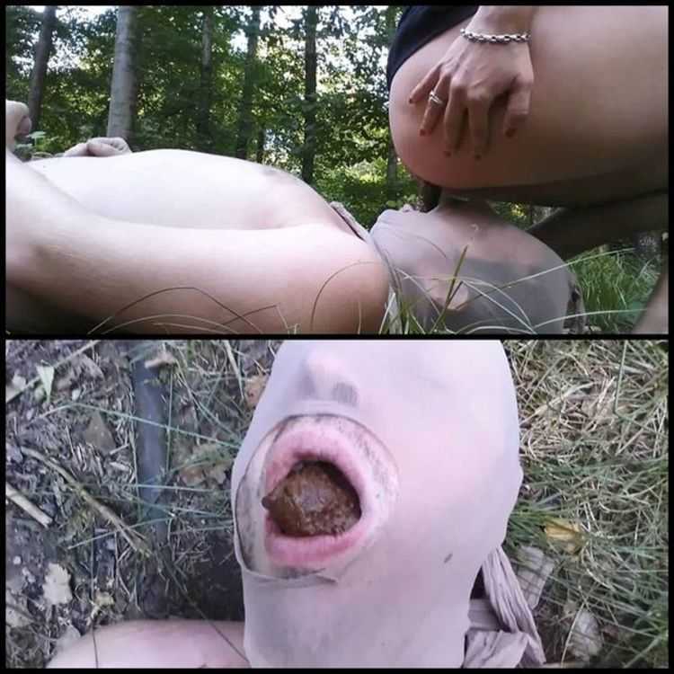 (15.09.2016) I shit in my outdoor toilet - femdom scat