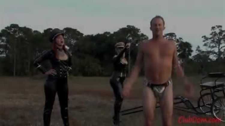 Gelding Ballbusting