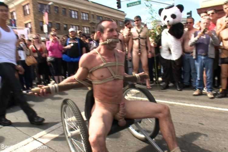 Naked Pandas Trick or Treat - Just in time for Halloween