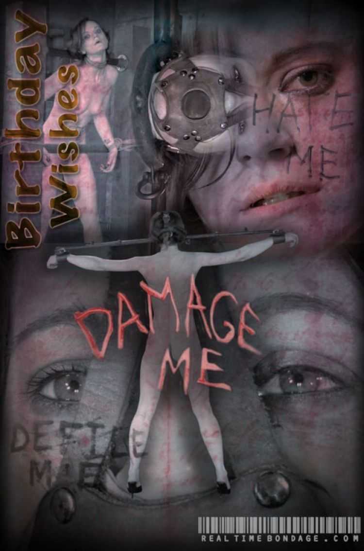 Birthday Wishes: Damage Me