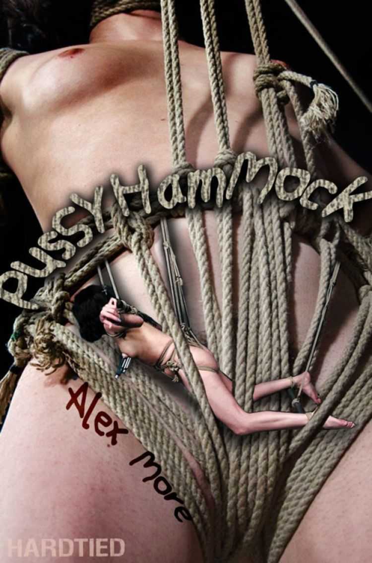 Pussy Hammock