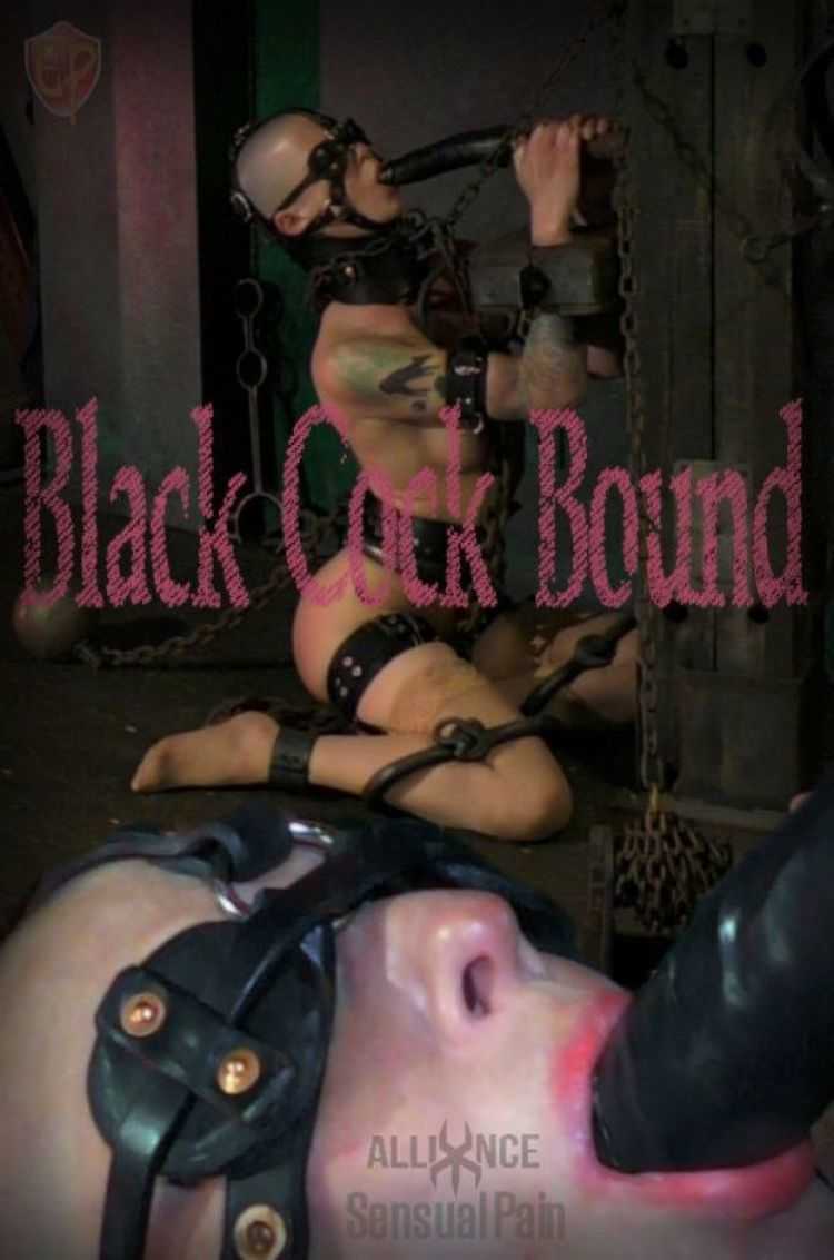 Black Cock Bound