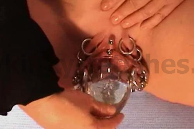 Slave M 165 – Pussy Rings