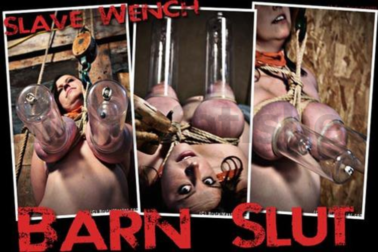 Brutal BDSM Wench – Barn Slut (020814)