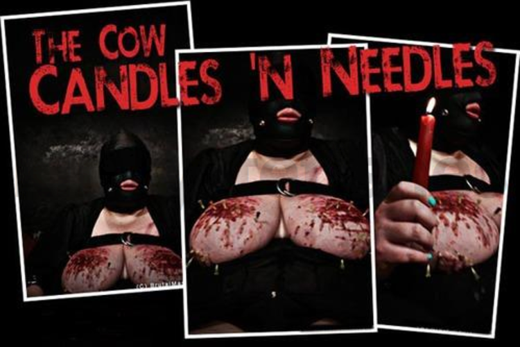 Brutal BDSM Cow – Candles And Needles (161013)