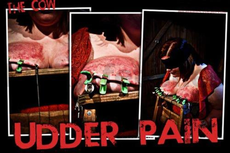 Brutal BDSM Cow – Udder Pain (311212)