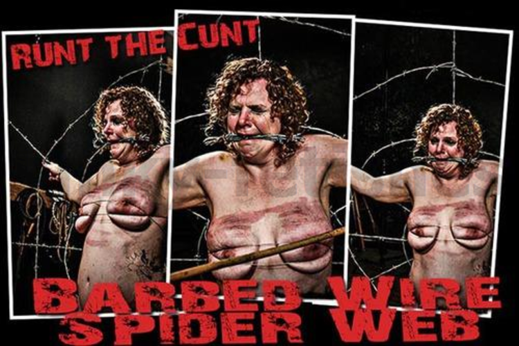 Brutal BDSM Runt – Barbed Wire SpiderWeb (200515)