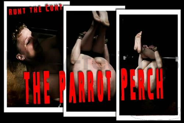 Brutal BDSM Runt – The Parrot Perch (251110)