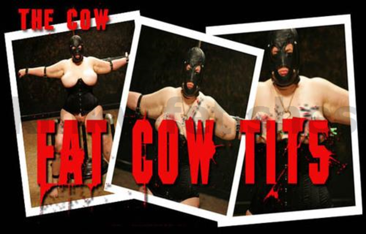 Brutal BDSM Cow – Fat Cow Tits (250709)