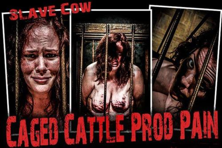 Brutal BDSM Cow – Caged Cattle Prod Pain (210615)