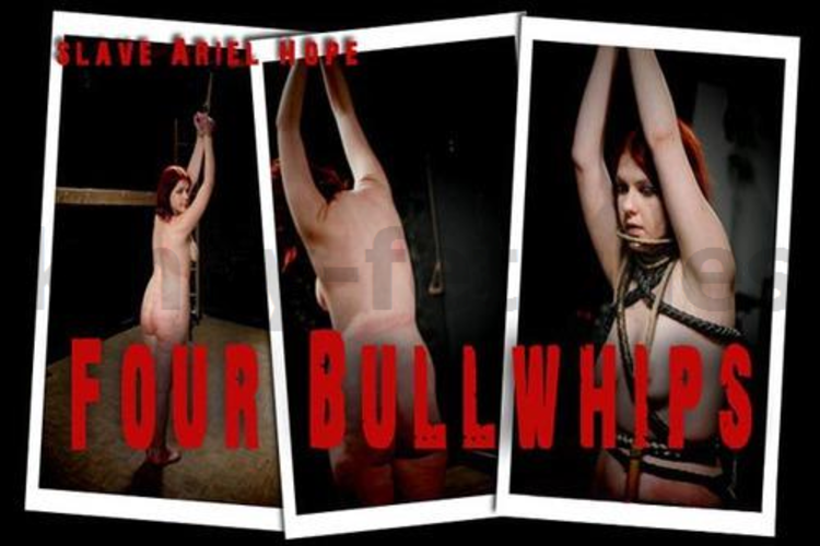 Brutal BDSM Ariel – Four Bullwhips (130709)