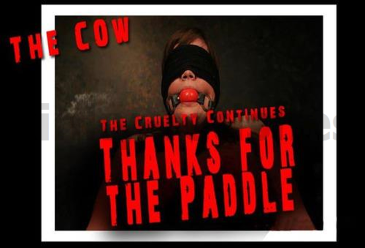 Brutal BDSM Cow – Thanks For The Paddle (110910)