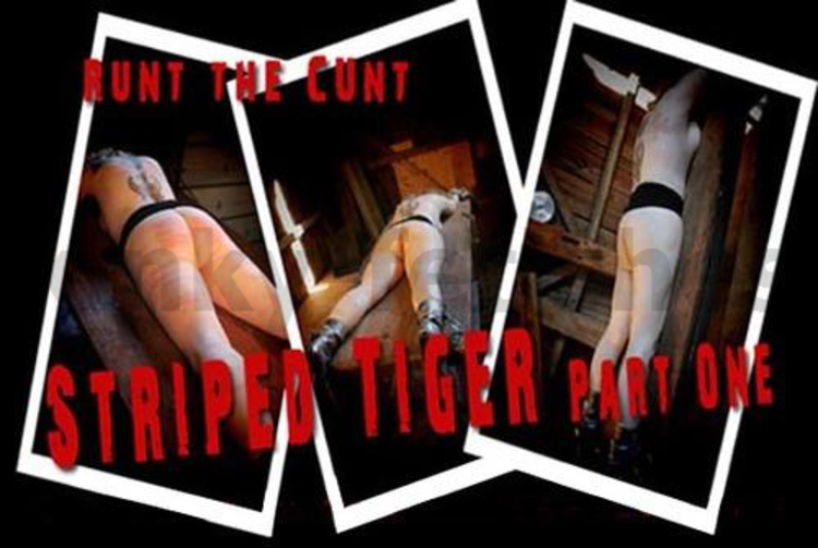 Brutal BDSM Runt – Striped Tiger 1 (120709)