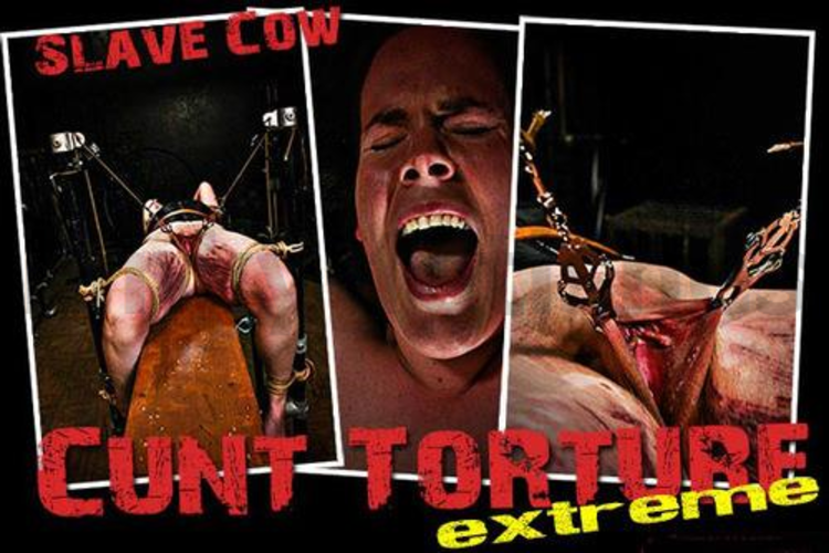 Brutal BDSM Cow – Cunt Torture Extreme (220315)