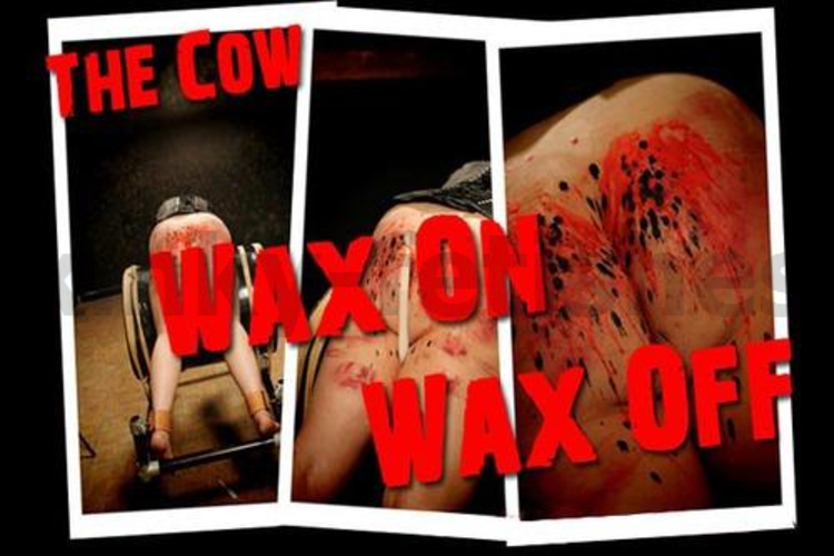 Brutal BDSM Cow – Wax On Wax Off (020110)