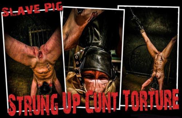 Brutal BDSM Pig – Strung Up Cunt Torture (021115)