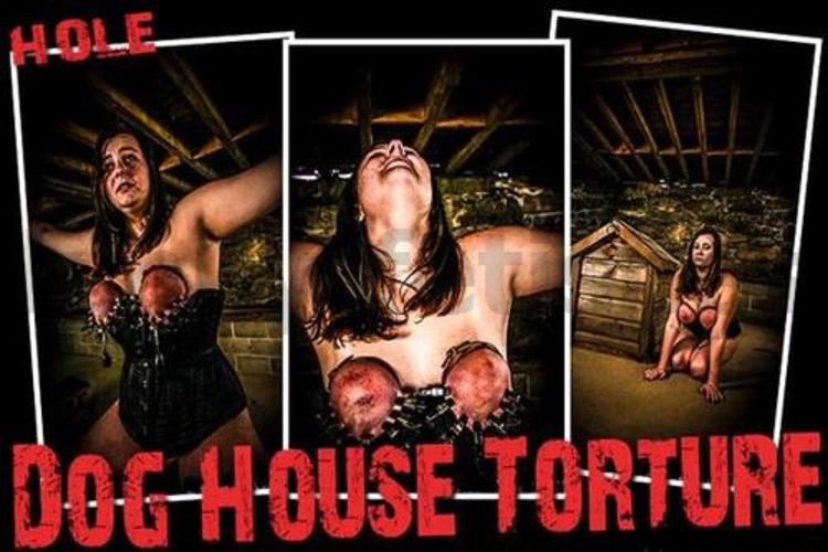 Brutal Master Hole – Dog House Torture (08.16.17)