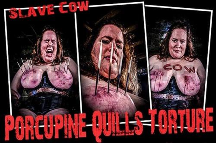 Brutal Master Slave Cow – Porcupine Quills Torture (11.15.17)