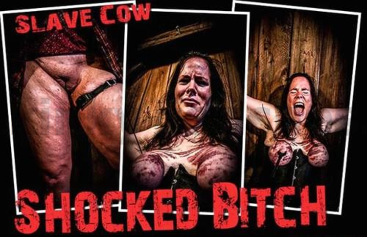 Brutal Master Slave Cow – Shocked Bitch (02.23.17)