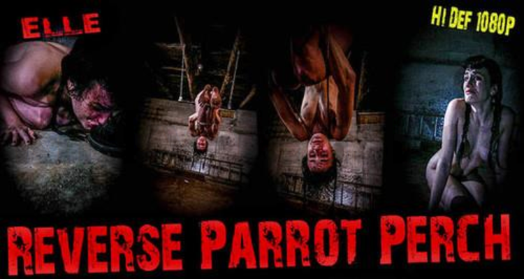 Brutal Master Elle – Reverse Parrot Perch (06.28.18)