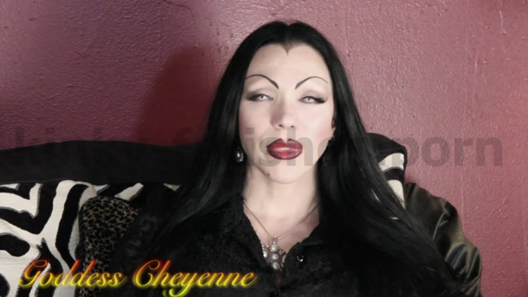 goddess cheyenne  my therapist is a vampire  jerkoff instructions