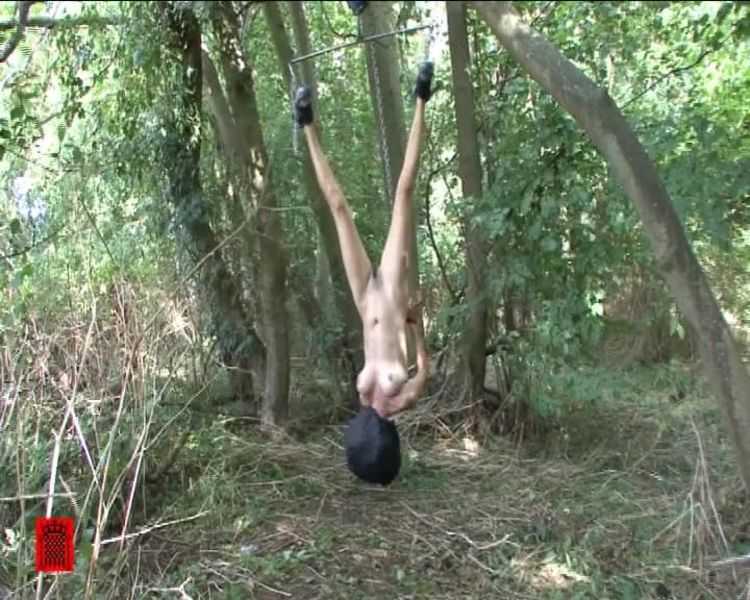 She’s Suspended in the Woods