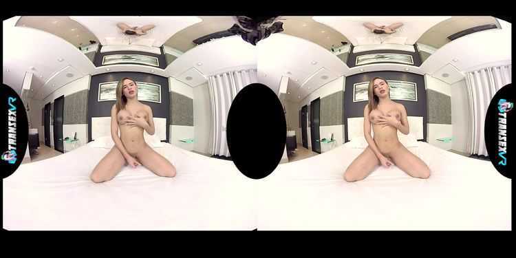 Online Tube TransexVR presents Sophia Colombiana - shemales