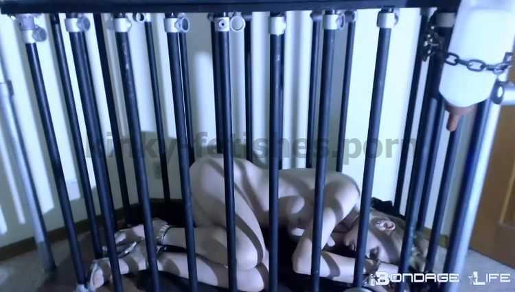 Porn online Cage Sleep (Live Cam Video 2017)