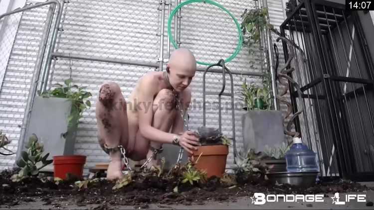 Porn online Gardening With Greyhound