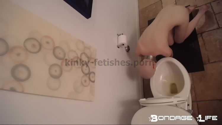 Porn online Evening With Greyhound Toilet Edition 08.10.18