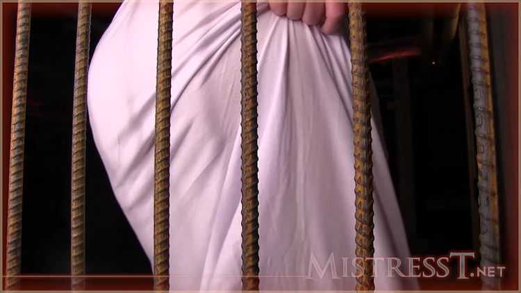 Mistress T – Caged and Teased – Tease And Denial, Chastity