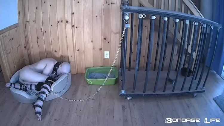 Video online BondageLife – Cage Time For Greyhound (Extended Edition)