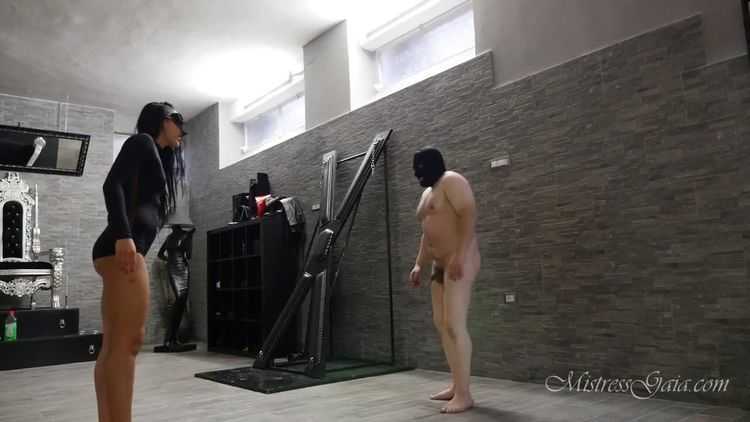 Mistress Gaia – Abused And Kicked Senseless – Kicking – Mixed Fighting, Femdom