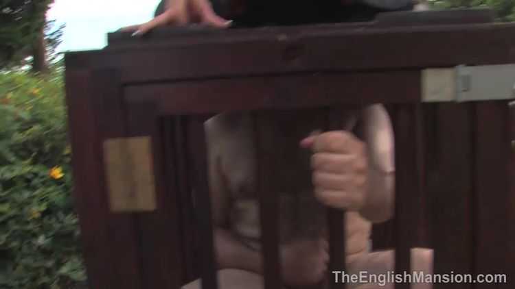 The English Mansion – Caged Cum Guzzler – Dominant Dolly, Lady Nina Birch and Miss Kinky Dirty Bitch – Hot Femdom – Transsexuals, TheEnglishMansion