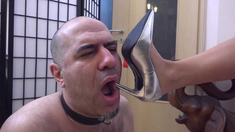 Lady Penelope – Footbitch For The Princess – Shoe Worship, Domination And Facestanding In Sexy High Heels – Hot Femdom – Shoeslicking, Female Domination