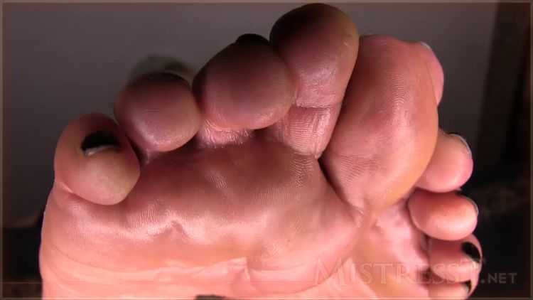 Porn online Footfetishbb – Mistress T. – Foot Dork Humiliated