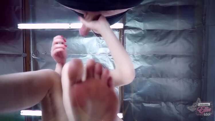 FOOTJOB FACIAL FOR CUCKY