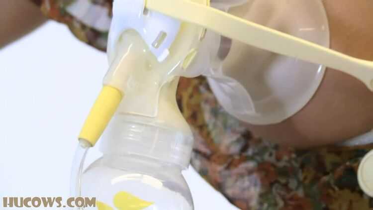 Hucows - Sarah Jain - double automatic breast pump