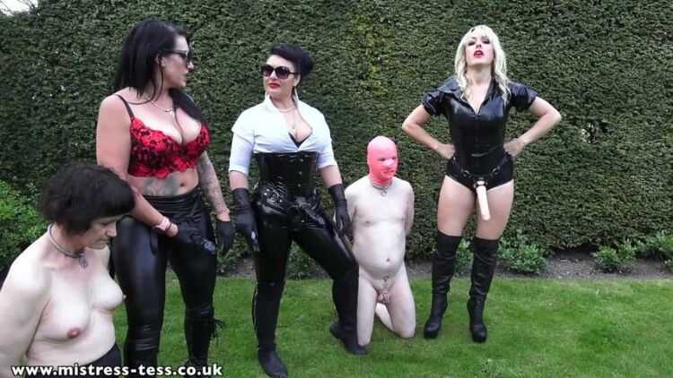 Mistress Tess - Outdoor Strap-on Derby - Ezada Sinn, Ava Von Medisin - Pegging