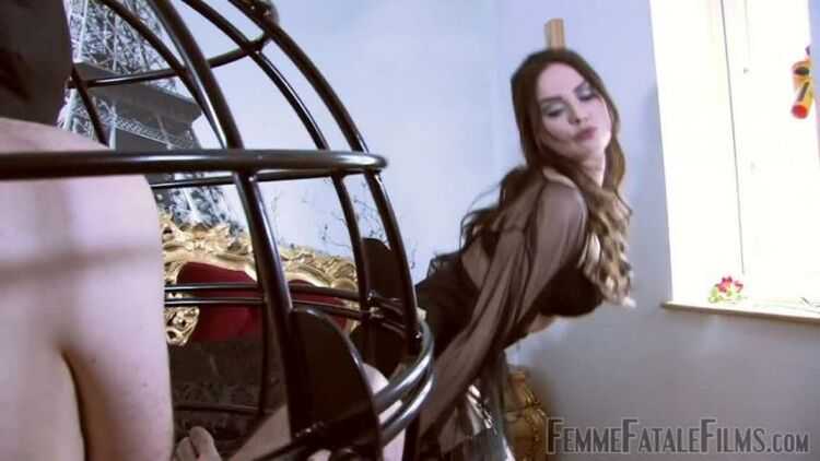 FemmeFataleFilms: Mistress Serena - The Caged Sniffer - Part 1