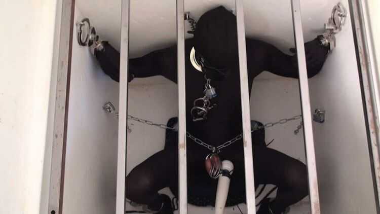 TeaseAndThankYou: Mistress Carlin - Cage Fantasy