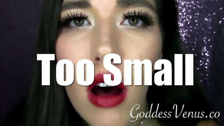 GoddessVenus - Too Small Mesmerizing - Humiliation