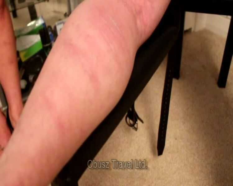 Men In Pain – Goddess Eclipse – Heartless sadistic back of the leg caning