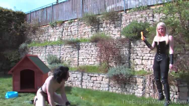 Theenglishmansion – The English Mansion – Lexi’s New Puppy – Part 1 – Goddess Lexi