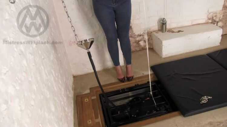 Mistress Whiplash - Bodybagged slave tortured in the pit