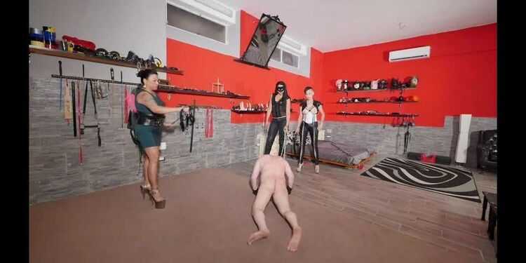 Padrona Era, Mistress Gaia, Mistress Saint - Lawrence 3 Dommes 3 Whips With No Mercy! - Femdom Spanking