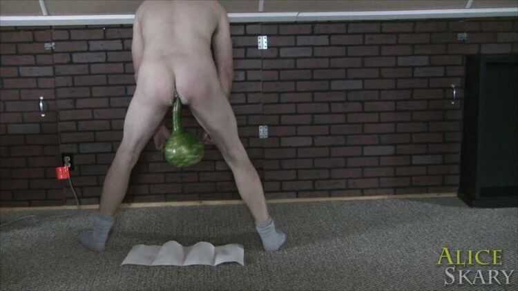 Clips4sale: Goddess Alice Skary - Anal Birdhouse Gourd Dance