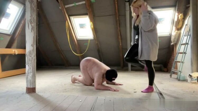 BossLadyFenja: Ballbusting Addiction