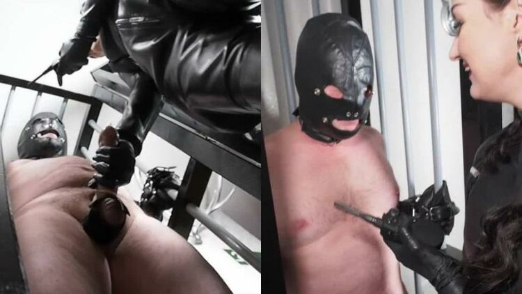 GermanFemdomLadyVictoriaValente: Splitscreen: Heavy Cbt Game And Face Slapping In The Cage