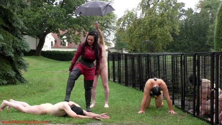 MistressEzadaSinn: Brutal Whipping On A Cold Rainy Day